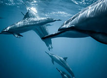 时隔4年半再度进球!补时阶段刘彬彬下底传中,王彤破门锁定胜局